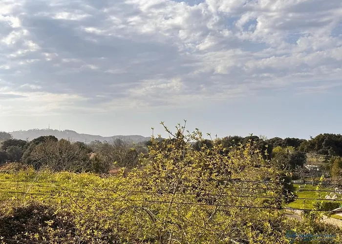 Mar Del Cuera Celorio (Llanes)